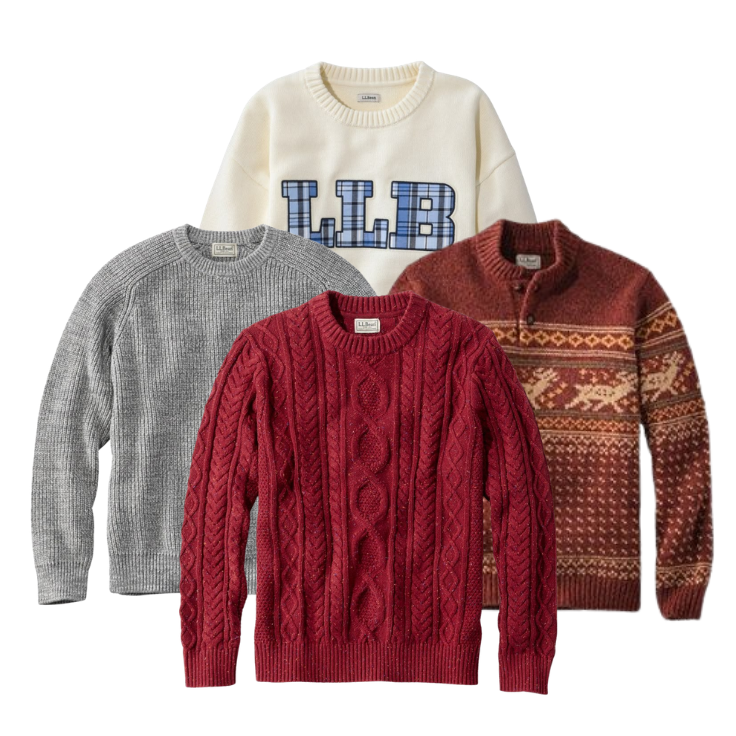 30x Pulls Knitwear LL BEAN